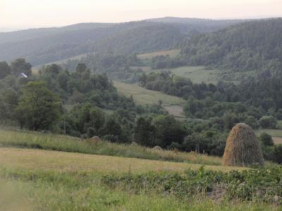 widok na góry